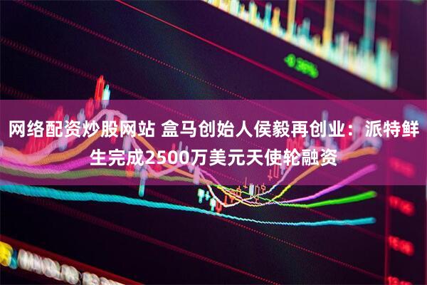 网络配资炒股网站 盒马创始人侯毅再创业：派特鲜生完成2500万美元天使轮融资