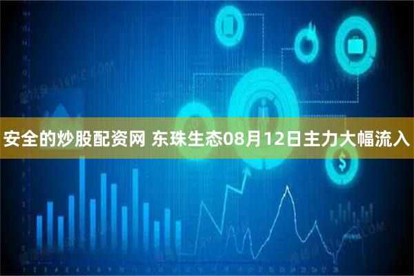 安全的炒股配资网 东珠生态08月12日主力大幅流入